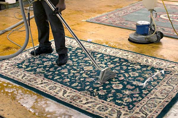 Pet odor removal in Chicago, IL